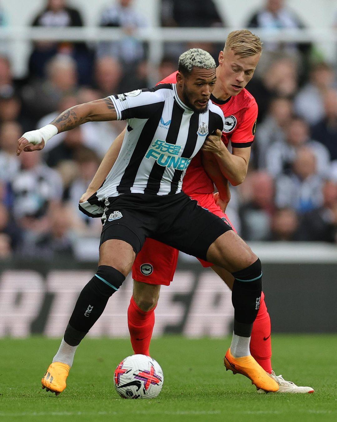 二是社交媒 二是社交媒